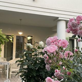 Villa Rosa Centre Balatonfüred (4)
