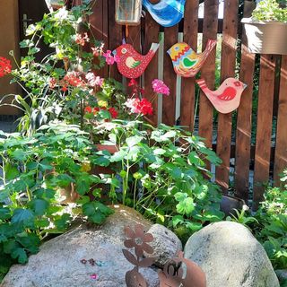 Agroturystyka noclegi Szumera-Bis Zarudnia (3)