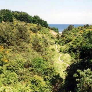 Pokoje Gościnne Regina Władysławowo (4)