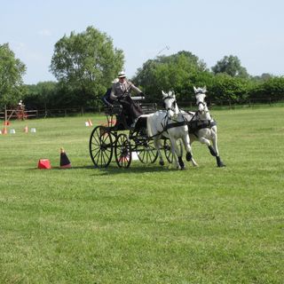 Furó Vendégház Fülöp (2)