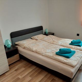 Naposudvar Apartman Hajdúszoboszló (5)