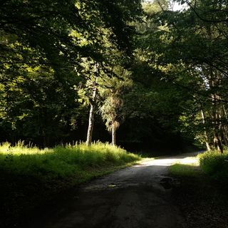 Szalajka Ház Váraszó (4)