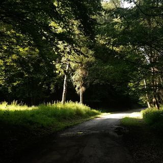 Szalajka Ház Váraszó (4)