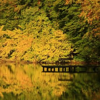 Szalajka Ház Váraszó (5)