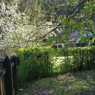 Szalajka Ház Váraszó (2)