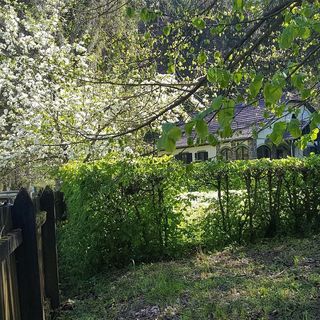 Szalajka Ház Váraszó (2)