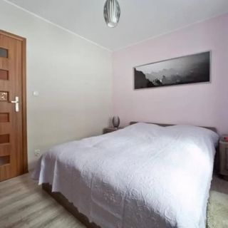 Apartament Oliwkowy Szklarska Poręba (5)