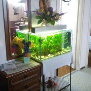 Tóth Family Apartman Balatonlelle (5)