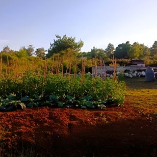 Apartment Ariela Vir (5)