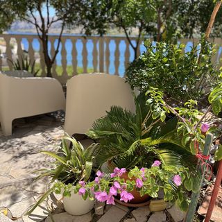 Apartmani Tina Zubovići (4)