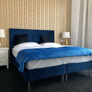 Drei Rosen Pension Karlovy Vary (2)