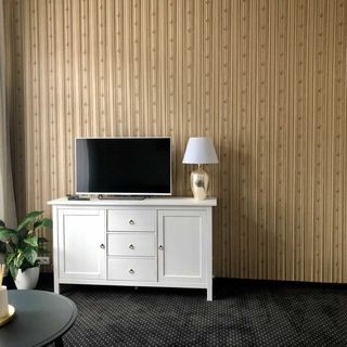 Drei Rosen Pension Karlovy Vary (4)