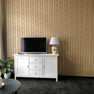 Drei Rosen Pension Karlovy Vary (4)