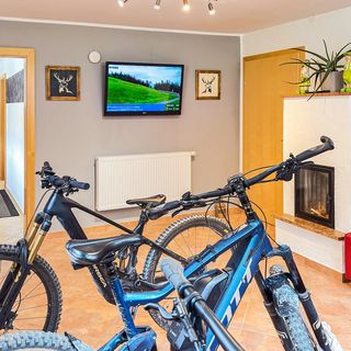 Apartman Viehhofen - ASA015 (5)