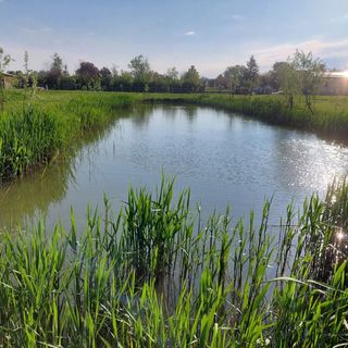 Tópart Apartman Kisköre (5)