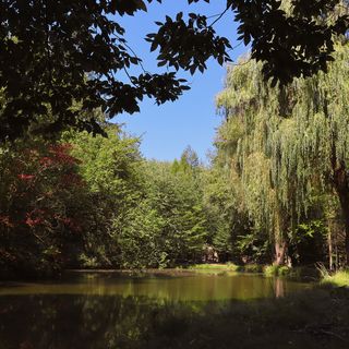 Királykunyhó Erdősziget Privát tóval Visegrád (3)