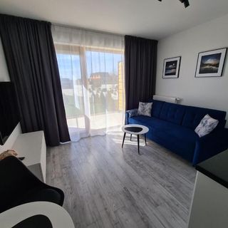 Loft Apartamenty w Sarbinowie (2)