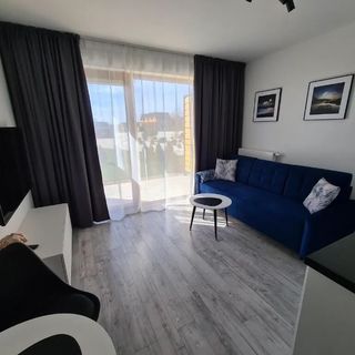 Loft Apartamenty w Sarbinowie (2)