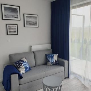 Loft Apartamenty w Sarbinowie (5)