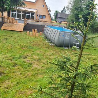 Cabana Din Vale Arieșeni (3)