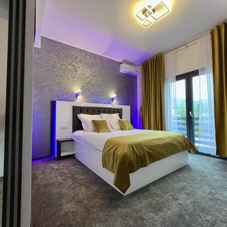 Pensiunea Bigala Ocnele Mari (2)