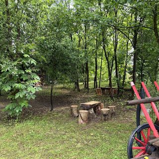 Pensiunea Bigala Ocnele Mari (3)