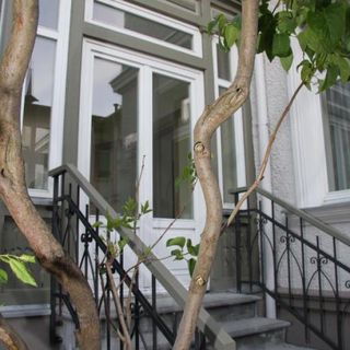 Apartament Diamentowy w Sopocie (3)