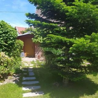 Kwatera Agro Dębina (3)