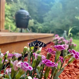 Hütte Vendégház Szokolya (3)