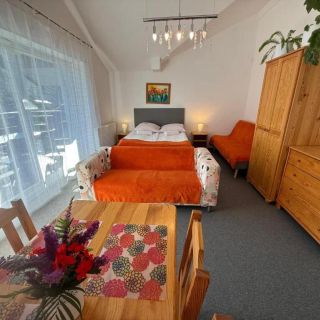 Apartamenty Czyrna przy Gondoli Szczyrk (3)