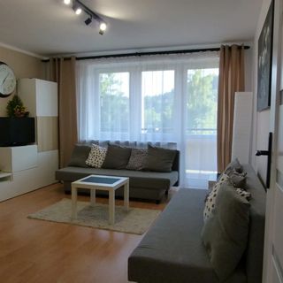 Apartament BB Czarny Potok - Krynica-Zdrój (2)