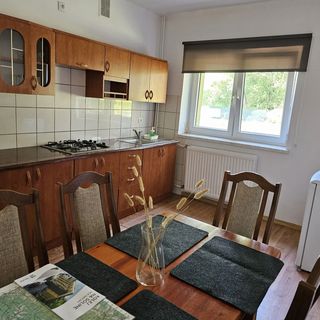 Hostel Volf Camp Bieszczady Kwaszenina (5)