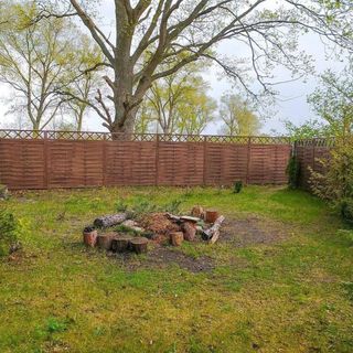 Domki pod dębami (3)