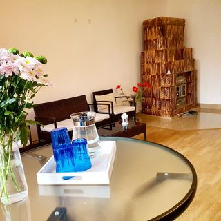 Pensiunea Geta Rucăr (4)