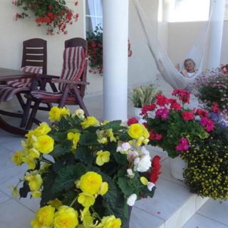 Pensjonat Amor Mielno (4)