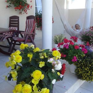 Pensjonat Amor Mielno (5)