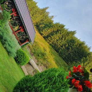 Pensiunea Cla Albac (5)