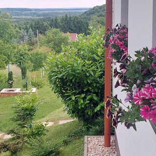 Mónika Vendégház Kőszeg (5)