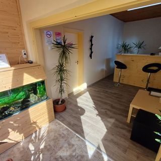 Gyarmati Vendégház Sirok (3)