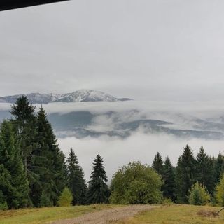 Cabana din Munți Borșa (5)