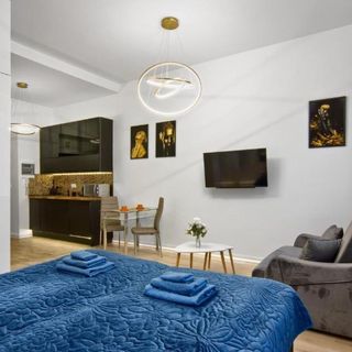 Apartament Silver Shine jacuzzi Kraków (4)