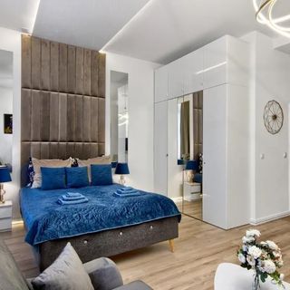 Apartament Silver Shine jacuzzi Kraków (5)