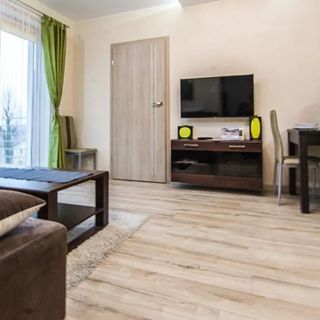 Apartamenty Izerskie Stylowy Świeradów-Zdrój (4)