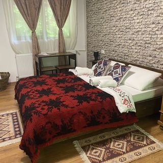 Casuta Din Padure Toplita Hunedoara (2)