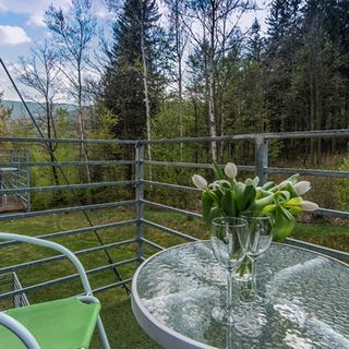 Apartamenty Izerskie Całoroczny Świeradów-Zdrój (5)