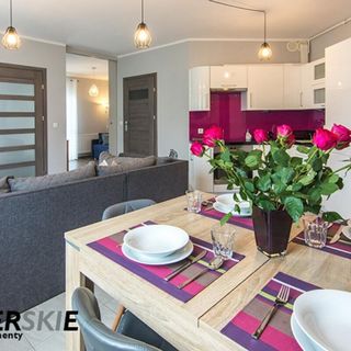 Apartamenty Izerskie Aspen Świeradów-Zdrój (4)
