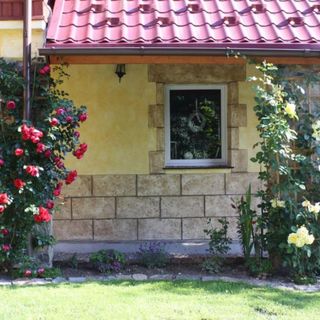 Dom na Klonowym Wzgórzu (2)