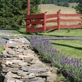 Dom na Klonowym Wzgórzu (3)