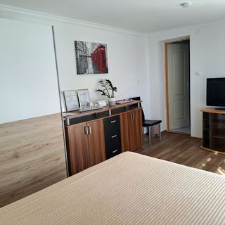 Szent László Apartman Szeged (4)