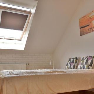 Apartament Promyczek Hajnówka (5)